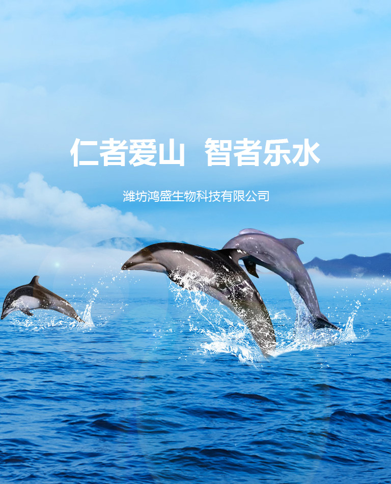 濰坊鴻盛生物科技有限公司